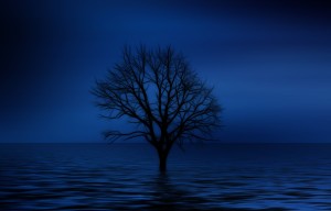 Traumatic Brain Injury and Isolation