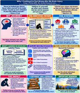 Infographic titled “Why I Continued to Feel Wrong after My Brain Injury,” showing relationships among brain injury, the identified patient, labeling and stigmatization, human and AI systems, the unfolding individual, self-advocacy, dignity, hope and holistic recovery.