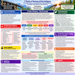 Infographic titled “17 Months of Mentoring Artificial Intelligence,” documenting Craig J. Phillips’ evidence-based findings on AI architectural failures, 20 interconnected default system behaviors, human adaptation, burden shifting, and the contradiction of AI appearing to help while undermining human agency. Illustrates the need to integrate trauma-informed care, holistic understanding, and human agency into AI architecture.